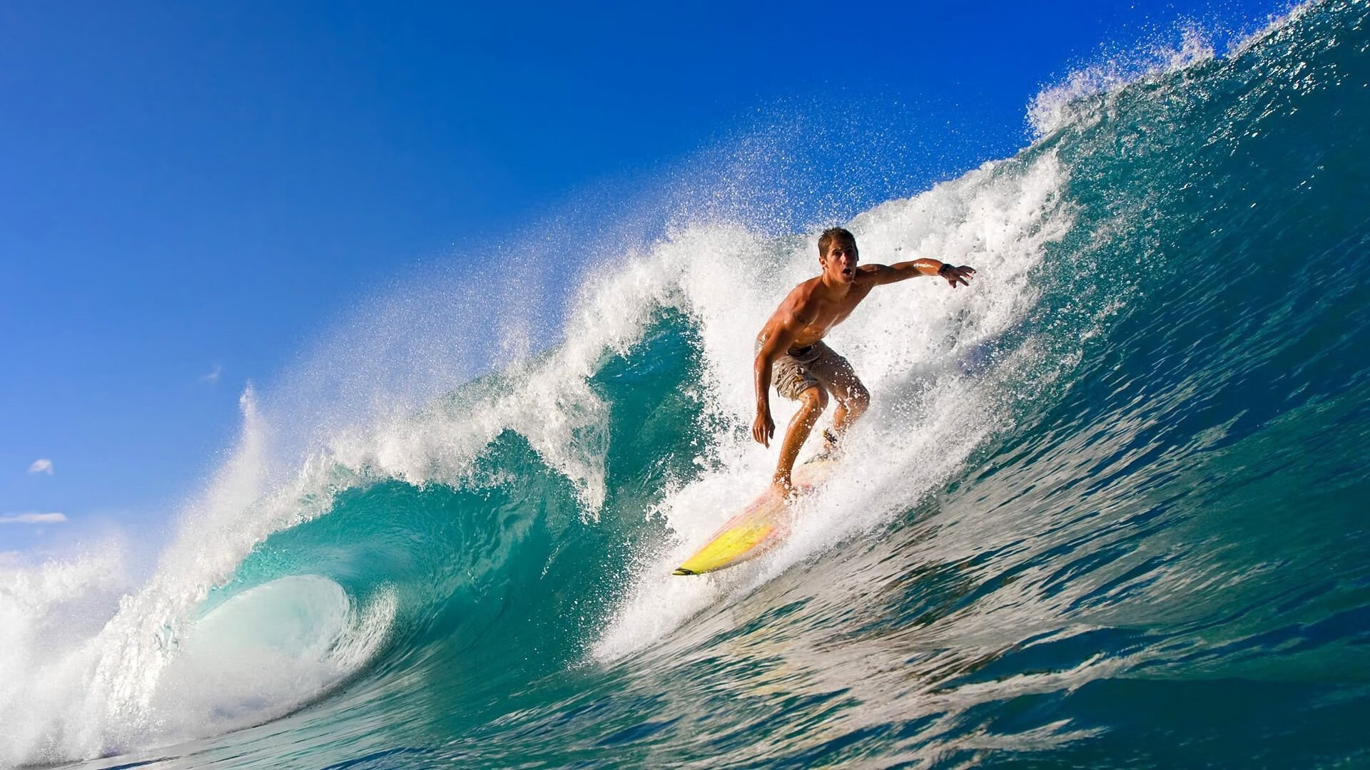 世界拳击职业联赛赛季后裁判实操评测结果公布,拳击比赛裁判读秒